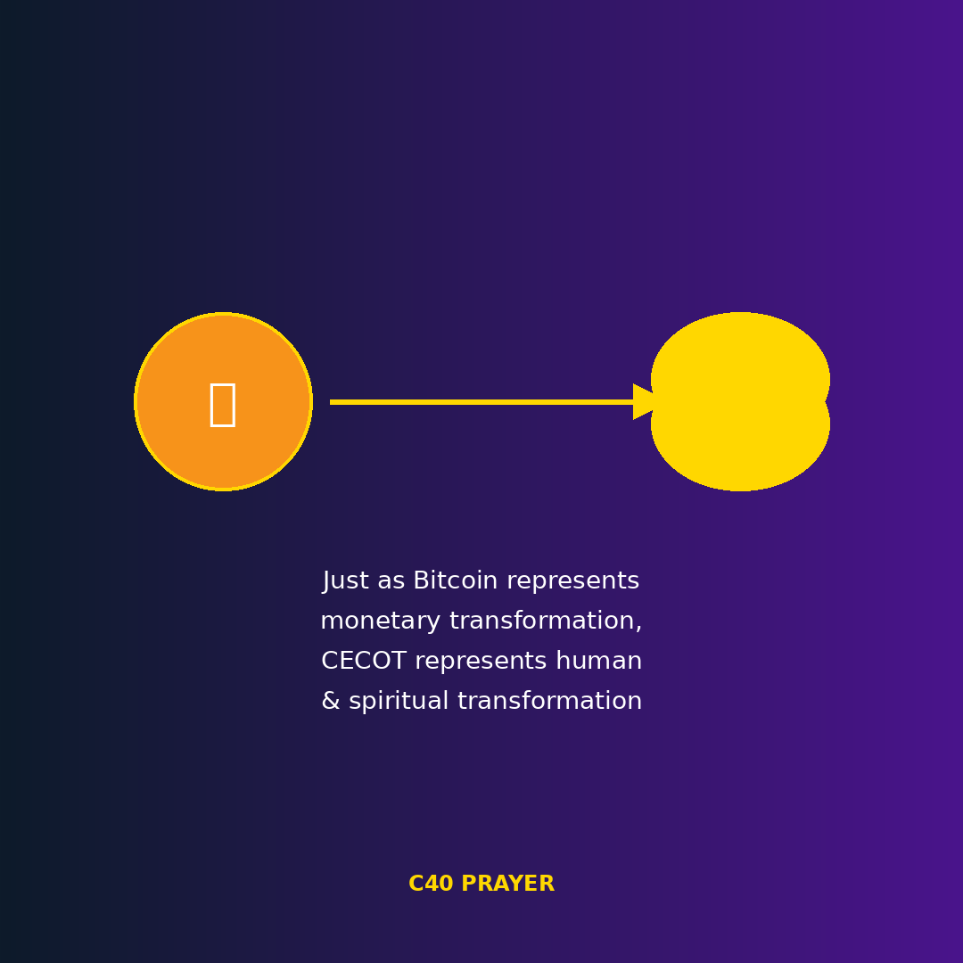 Bitcoin Transformation